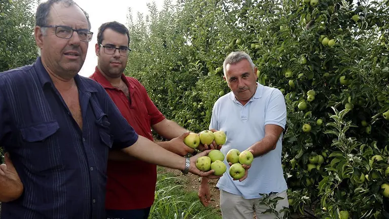 Pagesos de Vila-sana mostren pomes danyades al president d'Asaja, Pere Roqué