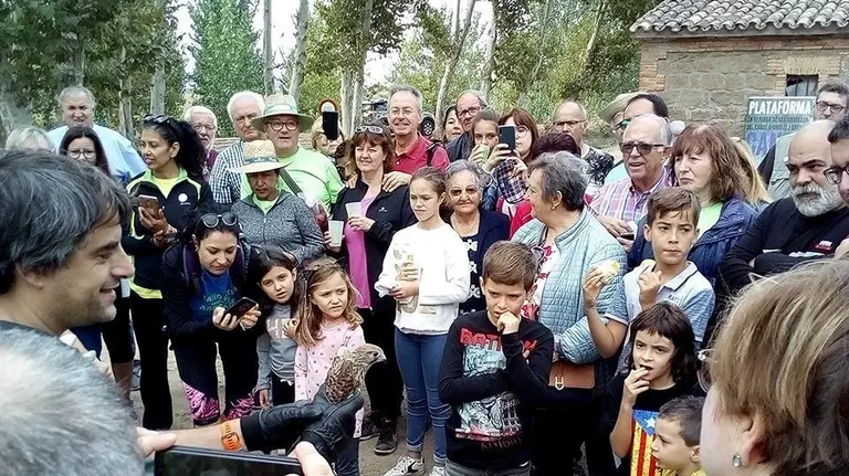 Els Agents Rurals alliveren exemplars joves de Xoriguer