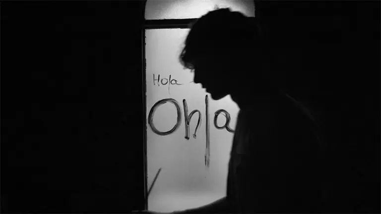 Ohla, el web de Flavià Boleda 1