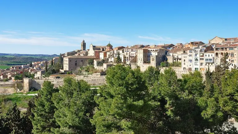 cervera2