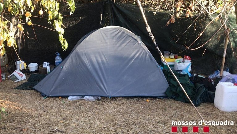 La tenda d&#39;acampada on dos detinguts vigilaven una plantació de marihuana a Aitona