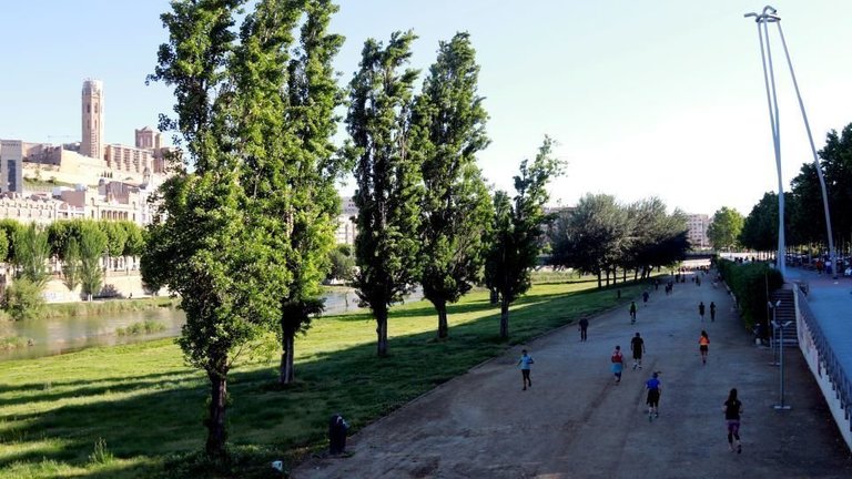 Anna Berga
Pla general d&#39;esportistes i persones fent esport al passeig a la vora del riu Segre a Lleida amb la Seu Vella al fons, el 2 de maig de 2020. (Horitzontal) - Anna Berga