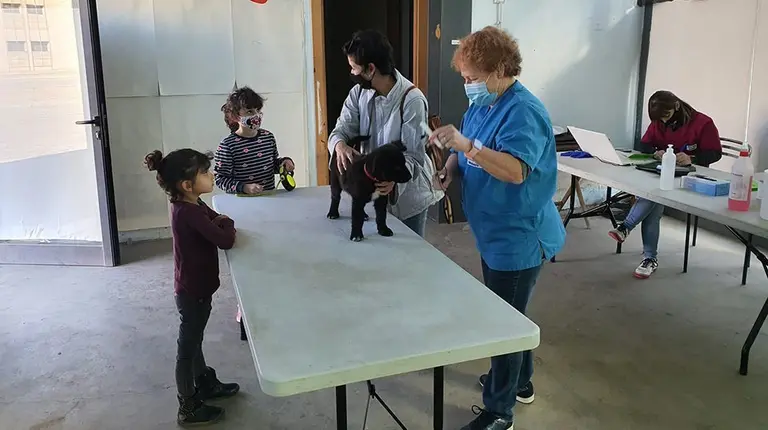Campanya per dentificar mascotes al Palau d'Anglesola