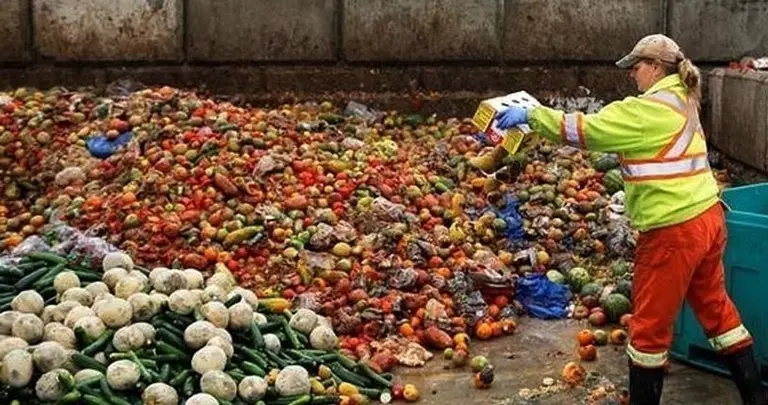 La Paeria de Lleida vol evitar el marbaratament d'aliments i reduir els residus @Sosteniblecat