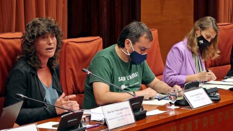Parlament
Pla mitjà lateral de la consellera d'Acció Climàtica, Teresa Jordà, en la seva compareixença en comissió al Parlament, l'1-7-21 (Horitzontal).
 Foto: cedida pel Parlament de Catalunya