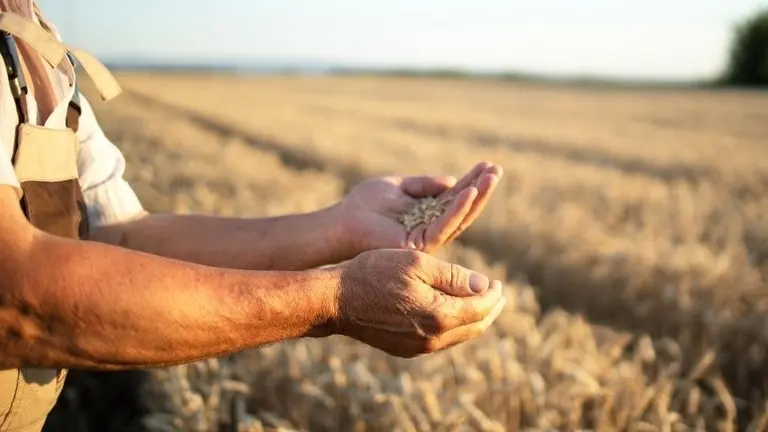 Agricultura