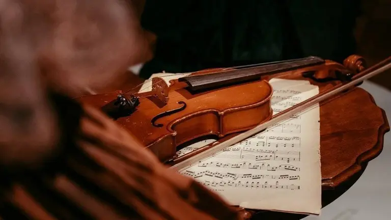 philip myrtorp - violí música concert