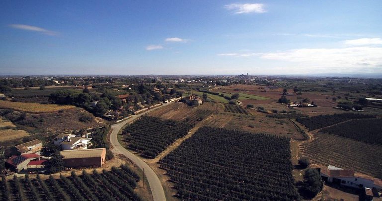 Vista aèria de l'Horta de Lleida - Foto: Cristina Mongay