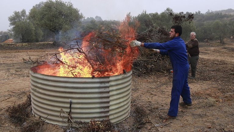 Un pagès tirant restes de poda d'una finca a un forn per fer biocarbó ©AnnaBerga