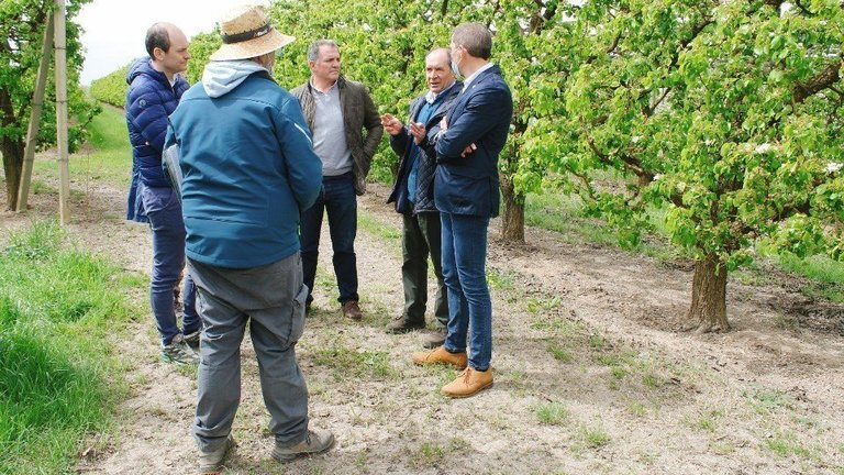 El subdelegat del govern espanyol a Lleida, José Crespín, visita una finca de fruita de Tornabous, amb responsables i tècnics d'Agroseguro ©SubdelegaciógovernespanyolLleida