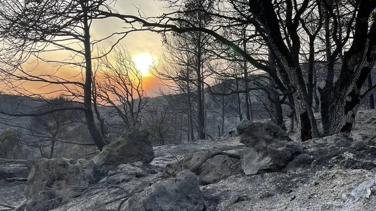 Zona afectada per l'incendi d'Artesa de Segre, prop del poble de Baldomar
Data de publicació: divendres 17 de juny del 2022, 11:45
Localització: Baldomar
Autor: Cedida per Ariadna Borrell Miret