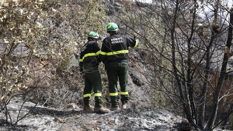 Investigadors dels Agents Rurals a la zona on va començar l'incendi de Baldomar ©Bombers