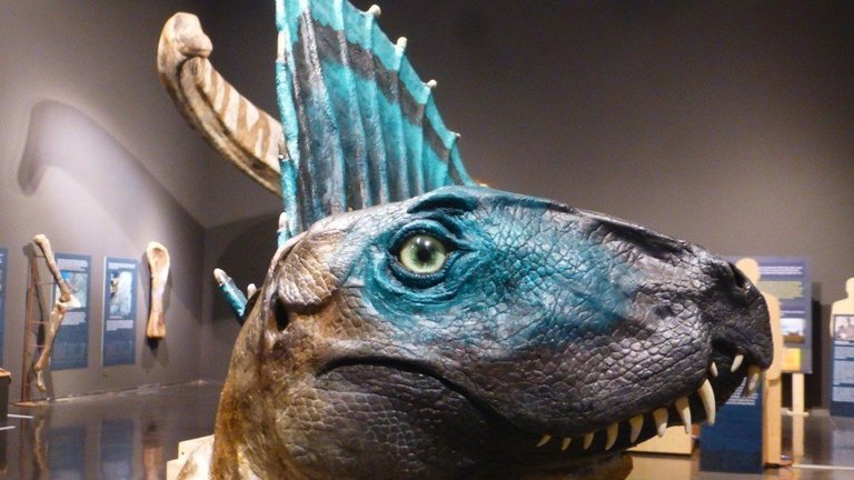 La reproducció d'un dinosaure que es pot veure al Museu de Lleida en el marc de l'exposició "Què tenim sota els peus? 550 milions d'anys d'evolució a Ponent i el Pirineu" ©Museu de Lleida