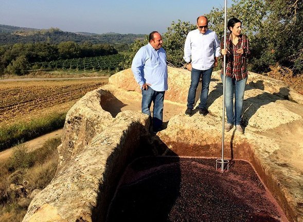 El trull de pedra del segle XI on es fermenta el Vi de Finca de Costers del Sió