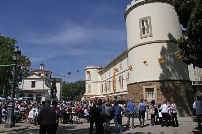 Imatge del públic a l'Aplec del Castell del Remeri