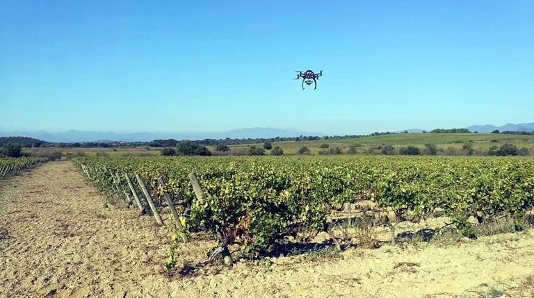 Un dron supervisant una explotació de vinya