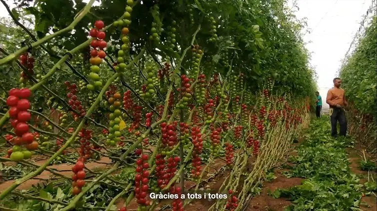 Gr&agrave;cies a tots