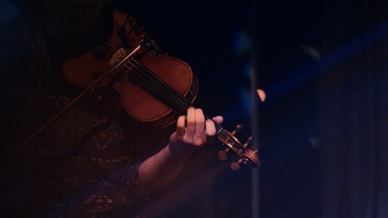 violí festival música cultura concert músics -
Joel Wyncott (Pexels)