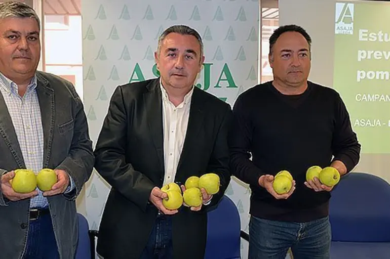 ASAJA quantifica en més de 44 MEUR les pèrdues en el sector de la poma a Lleida pels baixos preus d'aquesta campanya ASAJA quantifica en més de 44 MEUR les pèrdues en el sector de la poma a Lleida pels baixos preus d'aquesta campanya
