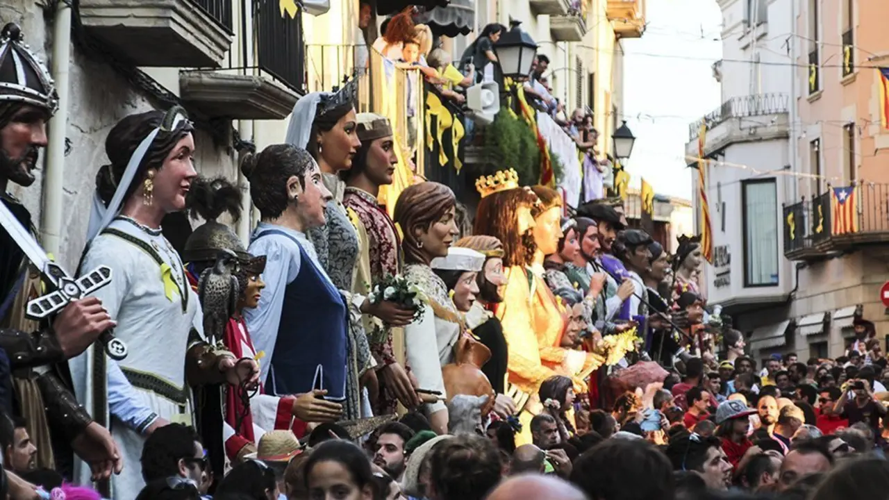 Trobada de Gegants (42)