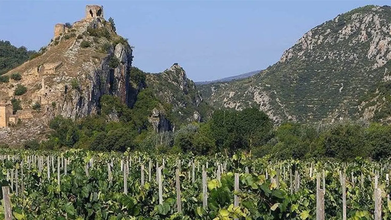 Les vinyes d'alçada al Montsec  ©JosepAPérez