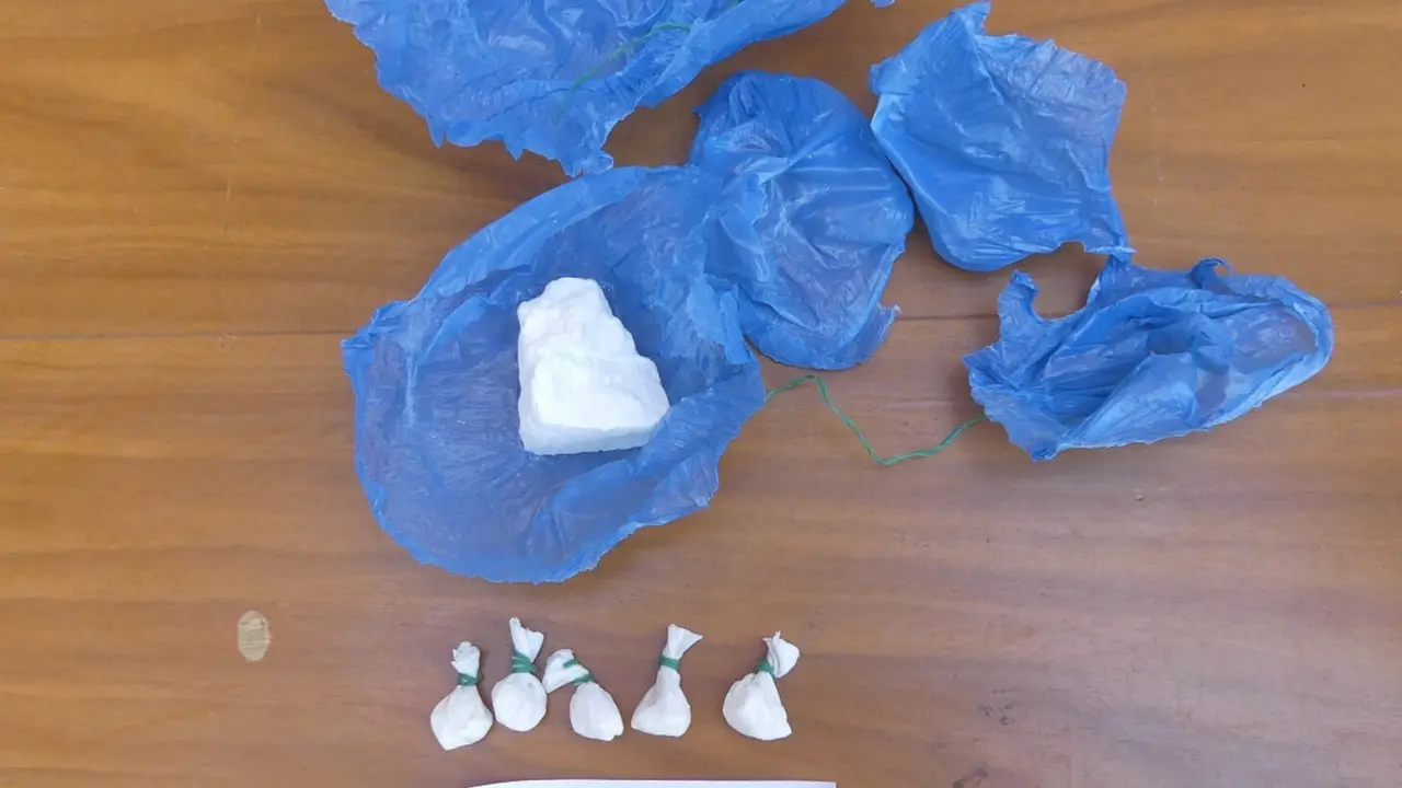 Imatge d'una part de la droga incautada. Foto: Mossos d'Esquadra