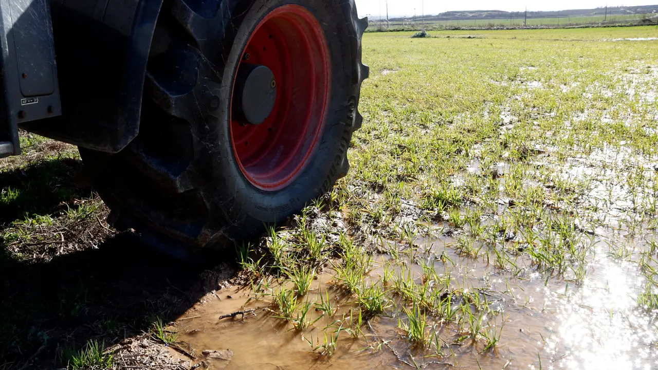 Un camp negat d'aigua a Bell-lloc. Foto: ACN
