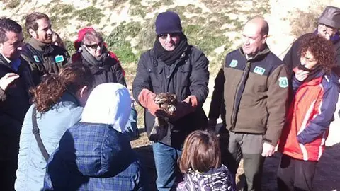Els Agents Rurals van alliberar un aligot recuperat al Centre de Vallcalent.