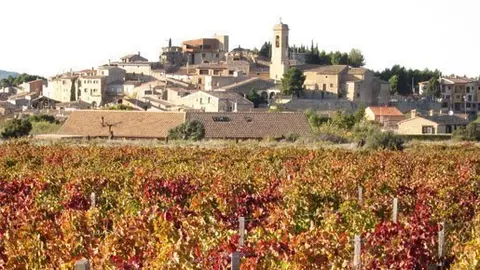 Una imatge del Vilosell amb el ceps de les finques del celler Tomàs Cusiné.