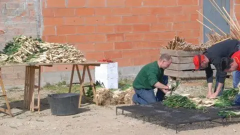 Preparar els calçots necessita de tot un protocol perquè estiguin al punt.