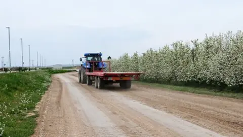 Arranjament de camins a Palau d&#39;Anglesola