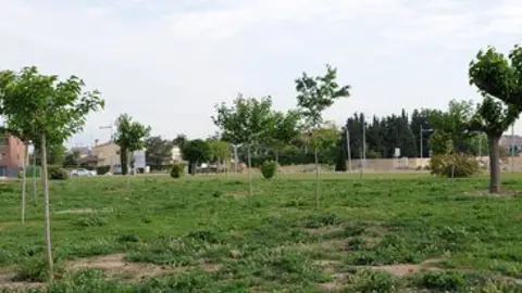 El consistori te previst instal·lar una zona de pícnic en aquest espai.