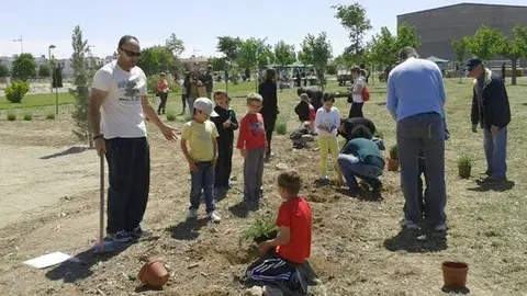 El consistori te previst habilitar una zona de pícnic.
