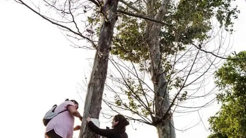 L&#39;acció de protesta va tenir lloc a mitja tarda