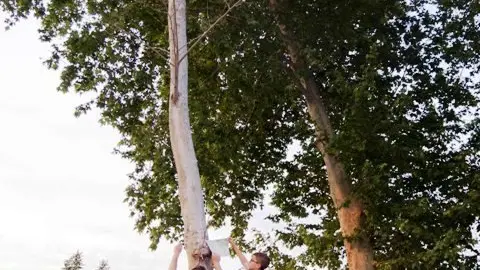 Els voluntaris pengen els cartells als arbres