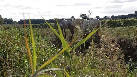 Imatge de la zona de Vila-sana de l'Estany d'Ivars i Vila-sana.