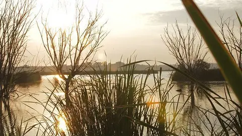 Imatge de la zona de Vila-sana de l'Estany d'Ivars i Vila-sana.