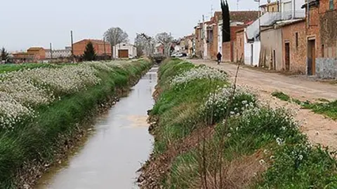 Banqueta del Canal al seu pas pel palau d'Anglesola, on es plantaran arbres.