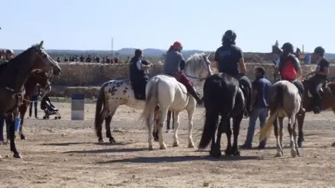 Festa dels Cavalls a Vilars