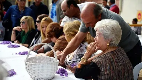 Festa del Safrà a Cervià