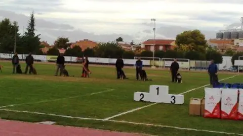 Campionat Catalunya gossos ensinistrats