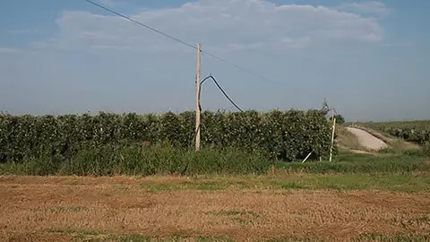 Imatge d l'acte que es va produir al mes de juliol a Vila-sana