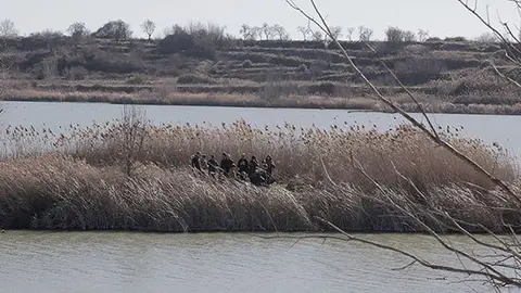 Un grup de voluntaris van plantar arbres en una de les illes de l'Estany d'Ivars i Vila-sana