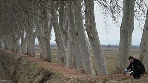 L'alcalde Marc Solsona recull la terra que plantarà el roure de Tricentenari.