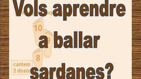 Cartell del curs que organitza l'Agrupació Sardanista de Mollerussa.