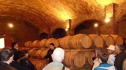 El públic adult va visitar les instal·lacions del Celler Castell del Remei.