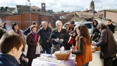 festa oli