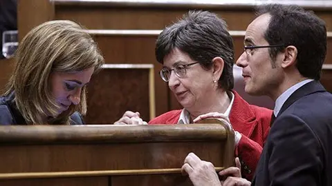 La portaveu del PSC en la Comissió d'Agricultura al Congrés Tere Cunillera.
