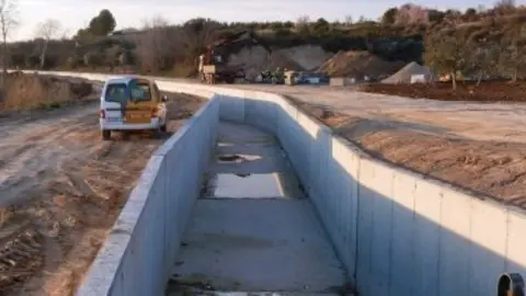 Tala d&#39;arbres a la Banqueta