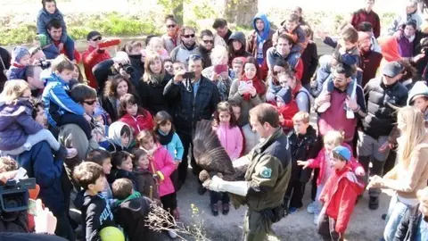 Dia de l&#39;Arbre les Borges i Juneda